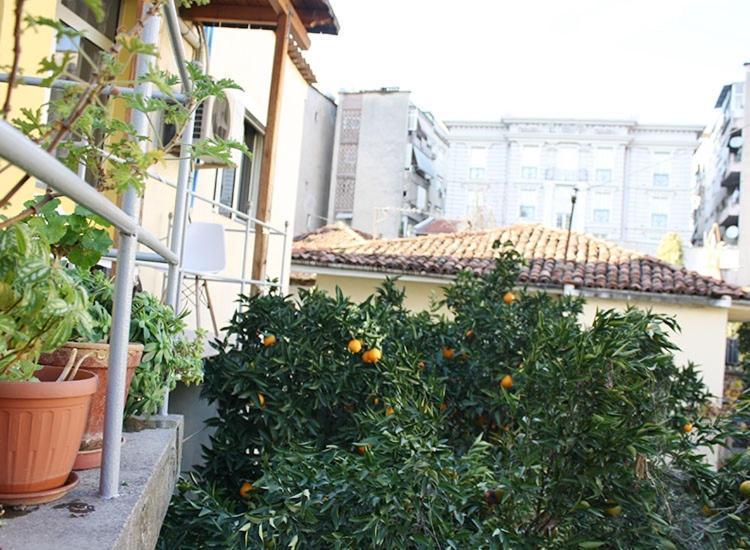 Orange Villa Hotel Tirana Esterno foto