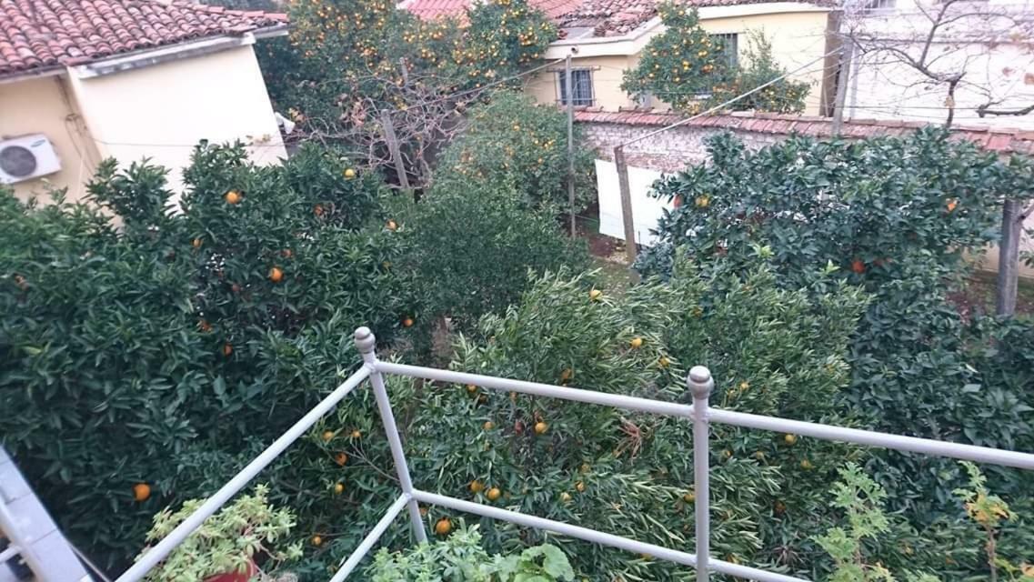 Orange Villa Hotel Tirana Esterno foto